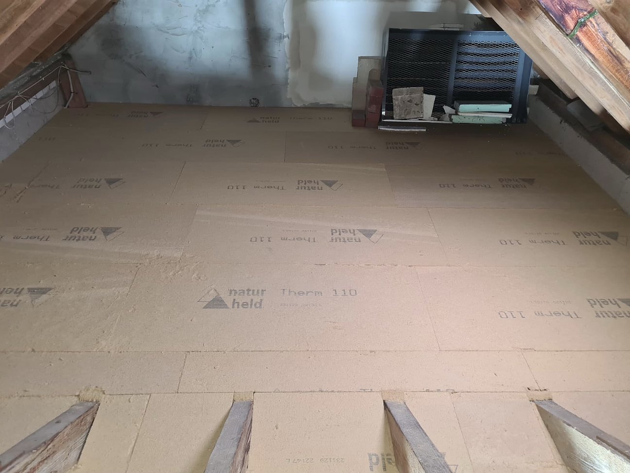 Schimmelbeseitigung mit professioneller Desinfektion - sauberes Raumklima