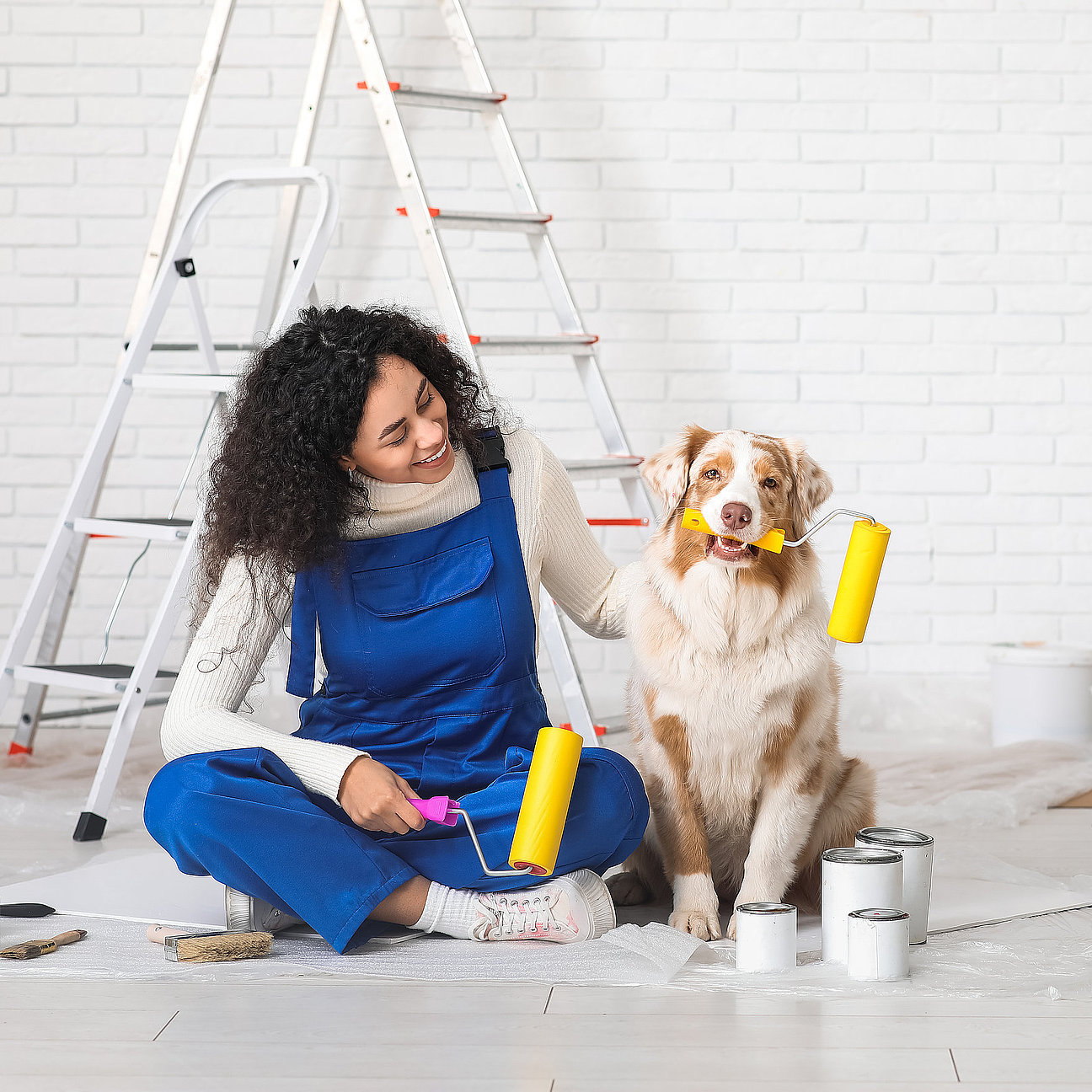 Happy female African-American painter in uniform with rollers and cute Australian Shepherd dog sitting during repair at home Renovierung einer Arztpraxis mit hygienischen Spezialfarben
