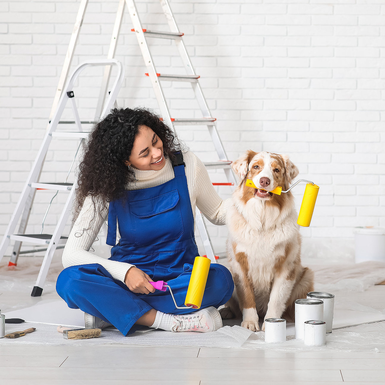 Happy female African-American painter in uniform with rollers and cute Australian Shepherd dog sitting during repair at home Pinsel, Farbrolle und Musterfläche - Vorbereitung für Farbberatungben – Auswahl vor Ort